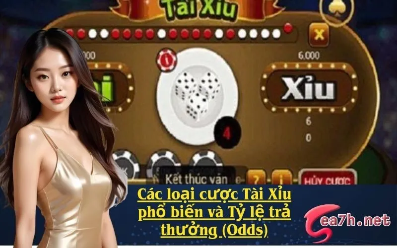 Các loại cược Tài Xỉu phổ biến và Tỷ lệ trả thưởng (Odds)
