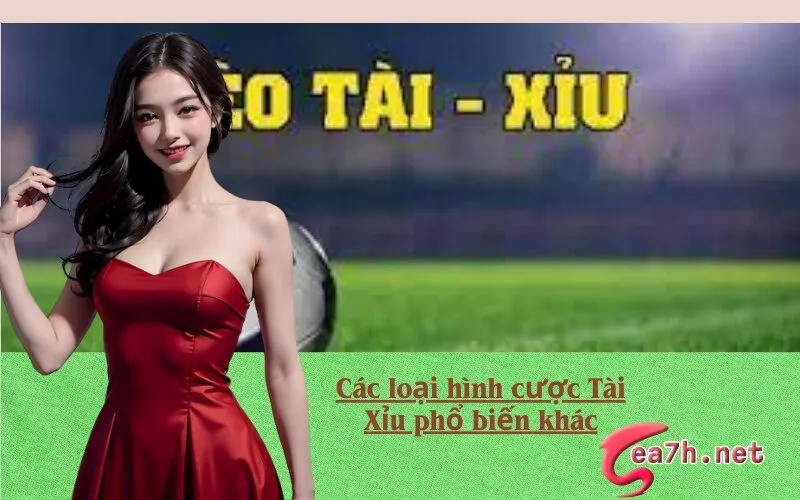 Các loại hình cược Tài Xỉu phổ biến khác