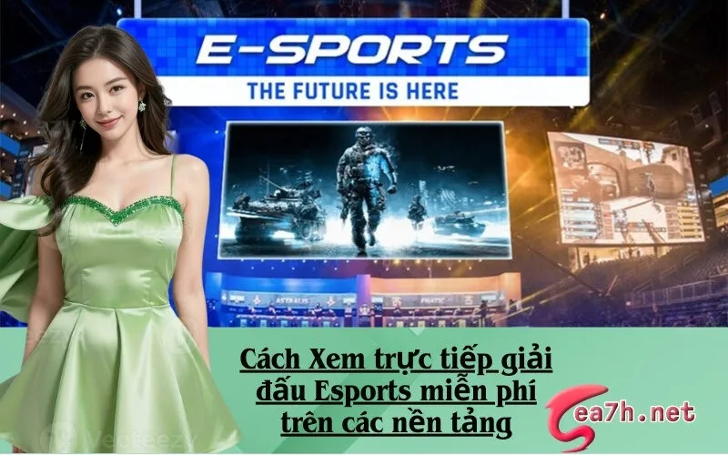 Cách Xem trực tiếp giải đấu Esports miễn phí trên các nền tảng