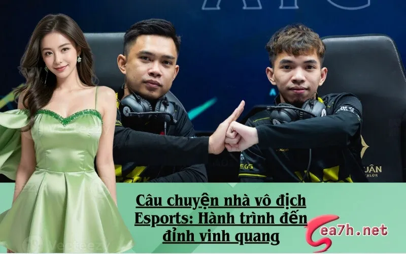 Câu chuyện nhà vô địch Esports: Hành trình đến đỉnh vinh quang
