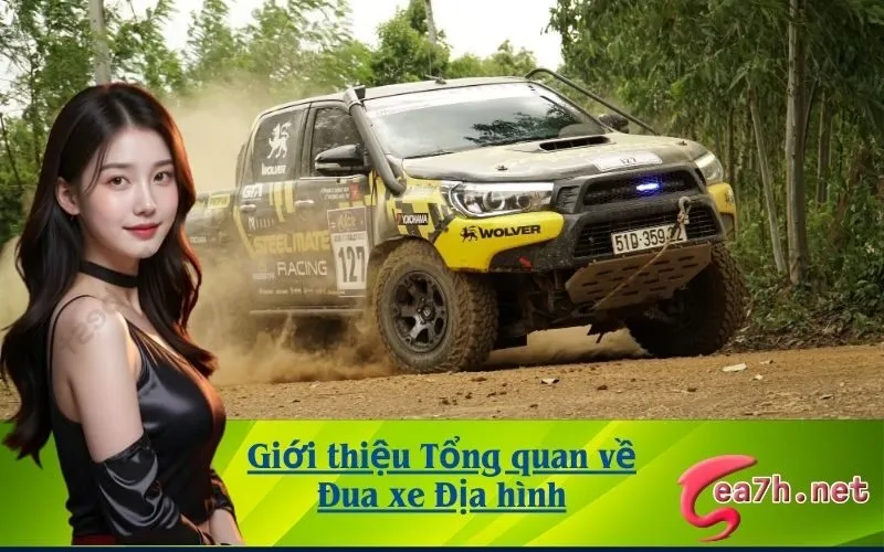 Giới thiệu Tổng quan về Đua xe Địa hình