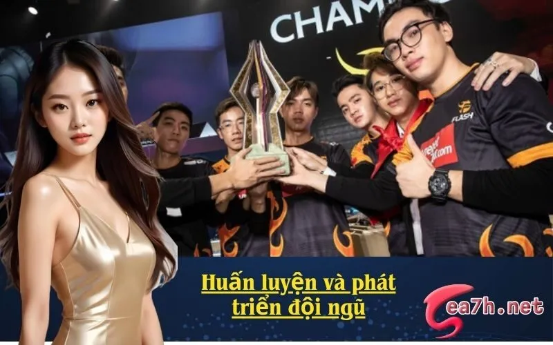 Huấn luyện và phát triển đội ngũ