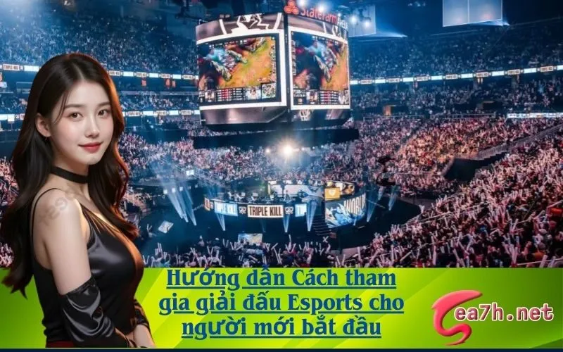 Hướng dẫn Cách tham gia giải đấu Esports cho người mới bắt đầu