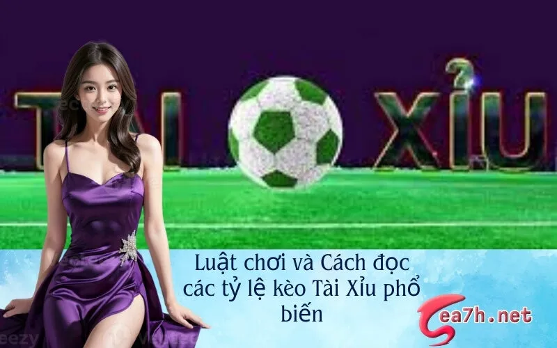 Luật chơi và Cách đọc các tỷ lệ kèo Tài Xỉu phổ biến