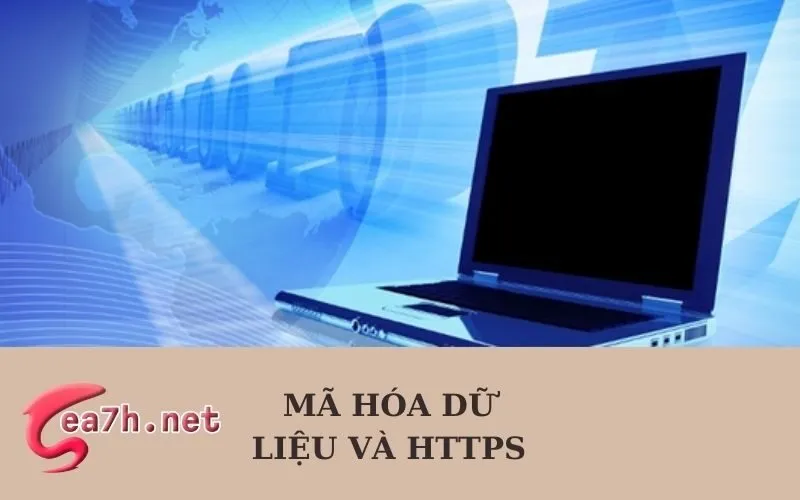 Mã hóa dữ liệu và HTTPS.