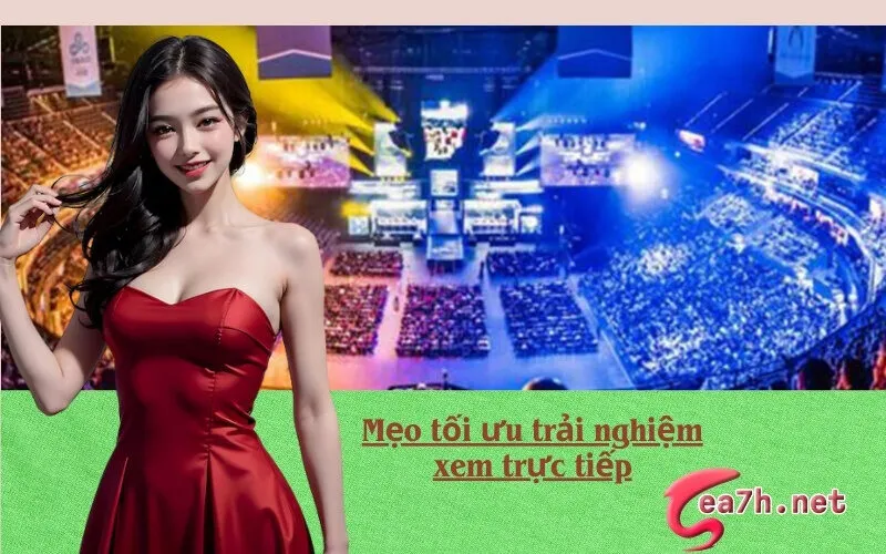 Mẹo tối ưu trải nghiệm xem trực tiếp