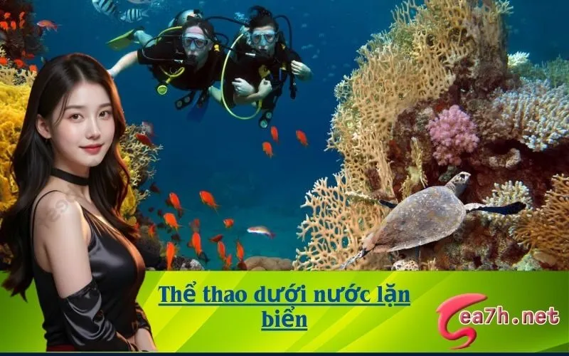 Thể thao dưới nước lặn biển