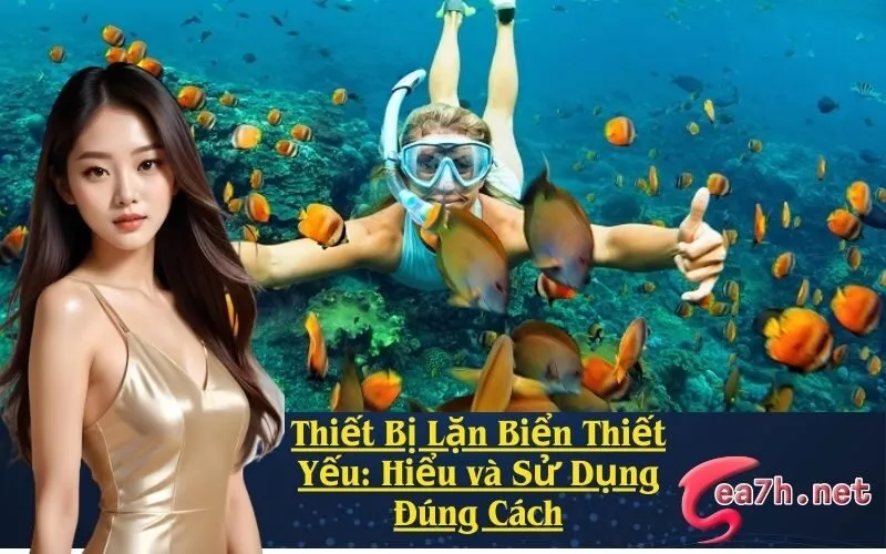 Thiết Bị Lặn Biển Thiết Yếu: Hiểu và Sử Dụng Đúng Cách