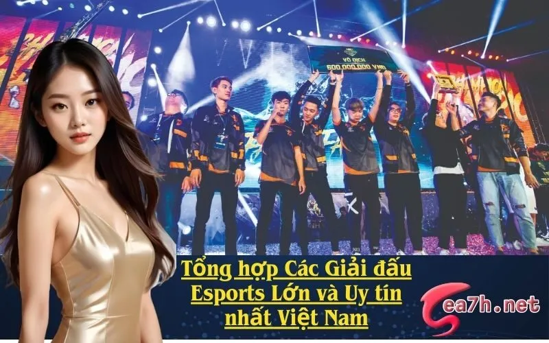 Tổng hợp Các Giải đấu Esports Lớn và Uy tín nhất Việt Nam