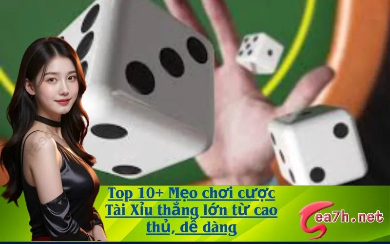 Top 10+ Mẹo chơi cược Tài Xỉu thắng lớn từ cao thủ, dễ dàng