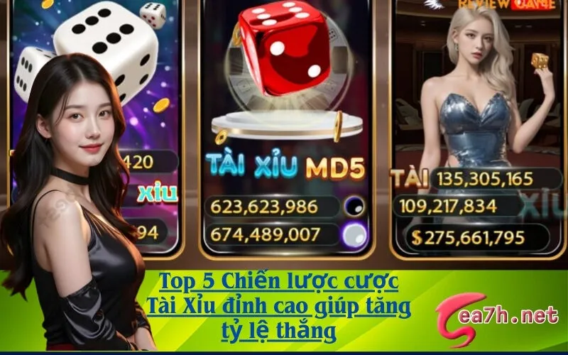 Top 5 Chiến lược cược Tài Xỉu đỉnh cao giúp tăng tỷ lệ thắng