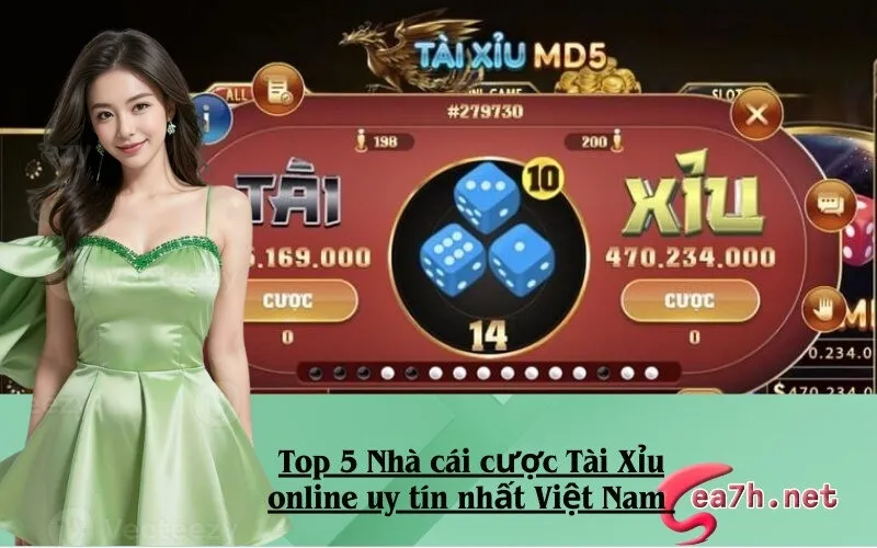 Top 5 Nhà cái cược Tài Xỉu online uy tín nhất Việt Nam 