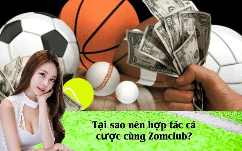 Tại sao nên hợp tác cá cược cùng Zomclub?