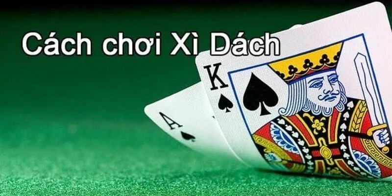 cách chơi bài xì dách tại 8day